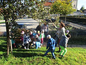 Den Kindern machte es sichtlich Spaß, bei der Apfelernte mitzuhelfen. Nach der Apfelpresse konnten 80 Liter Saft an den Kindergarten übergeben werden.
